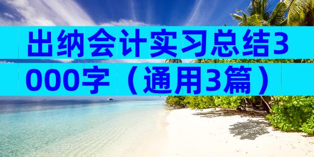 出纳会计实习总结3000字（通用3篇）