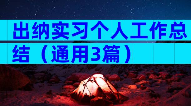 出纳实习个人工作总结（通用3篇）