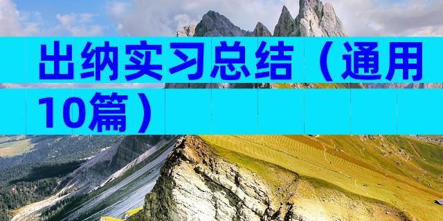 出纳实习总结（通用10篇）