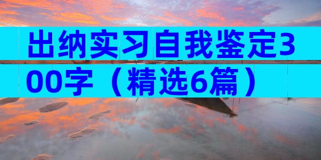 出纳实习自我鉴定300字（精选6篇）