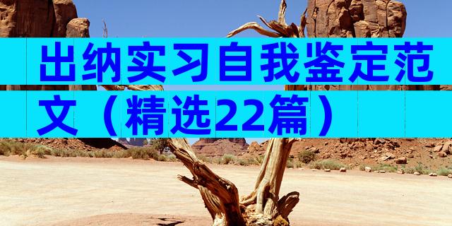 出纳实习自我鉴定范文（精选22篇）