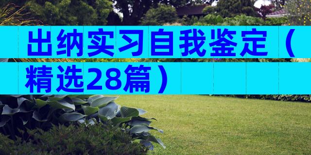 出纳实习自我鉴定（精选28篇）