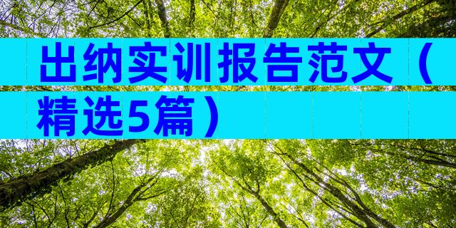 出纳实训报告范文（精选5篇）
