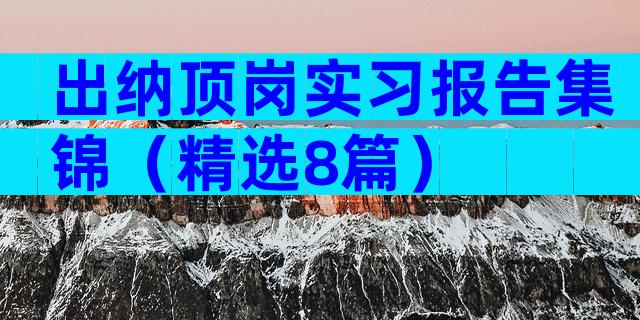 出纳顶岗实习报告集锦（精选8篇）