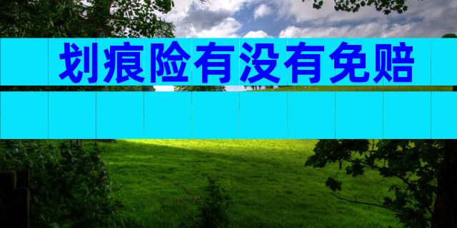 划痕险有没有免赔
