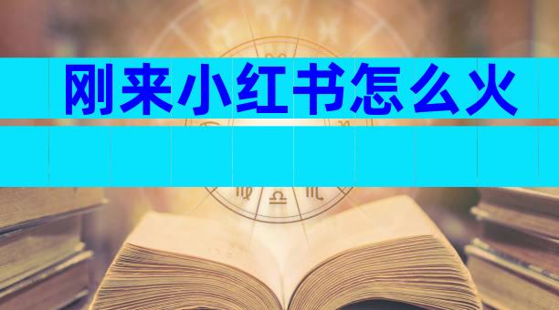 刚来小红书怎么火