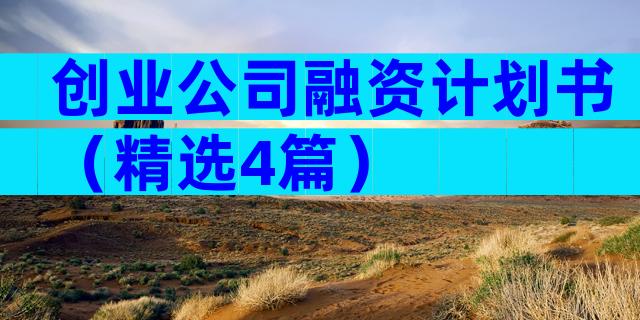 创业公司融资计划书（精选4篇）