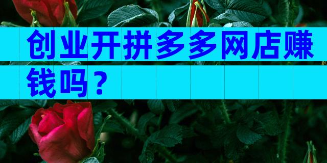 创业开拼多多网店赚钱吗？