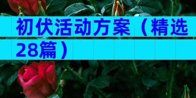 初伏活动方案（精选28篇）