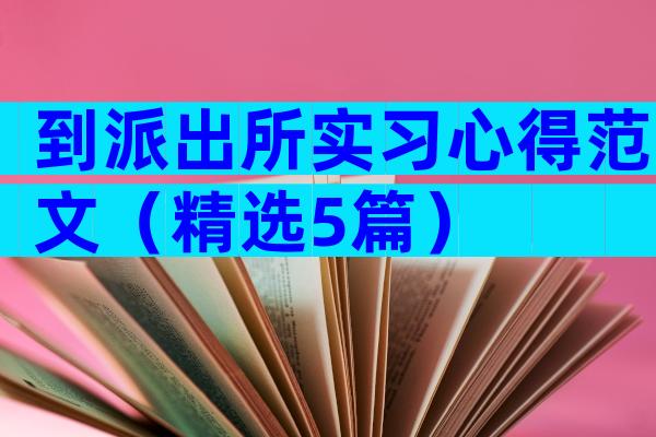 到派出所实习心得范文（精选5篇）