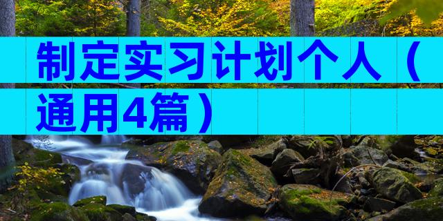 制定实习计划个人（通用4篇）
