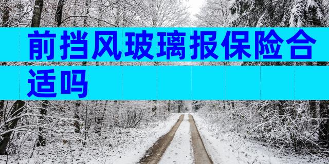 前挡风玻璃报保险合适吗