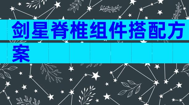 剑星脊椎组件搭配方案