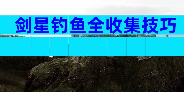 剑星钓鱼全收集技巧