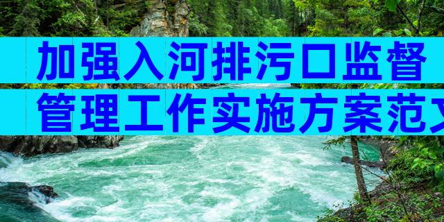 加强入河排污口监督管理工作实施方案范文（精选30篇）