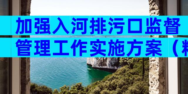 加强入河排污口监督管理工作实施方案（精选31篇）