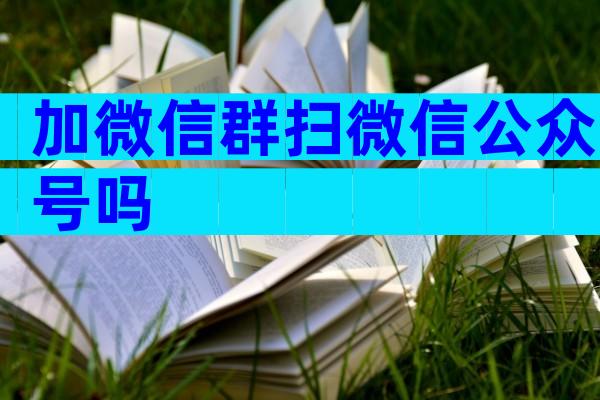 加微信群扫微信公众号吗