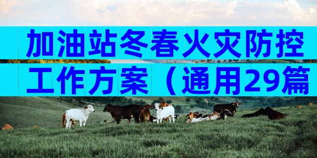 加油站冬春火灾防控工作方案（通用29篇）