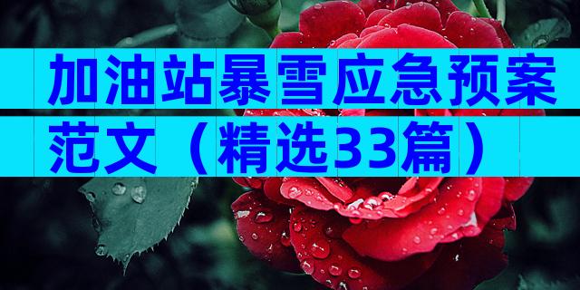 加油站暴雪应急预案范文（精选33篇）