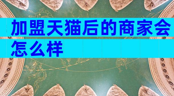 加盟天猫后的商家会怎么样