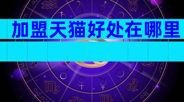 加盟天猫好处在哪里