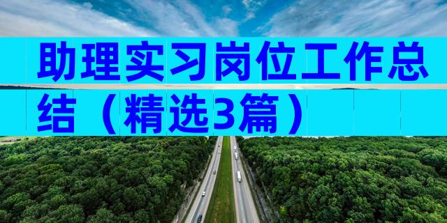 助理实习岗位工作总结（精选3篇）