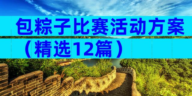 包粽子比赛活动方案（精选12篇）