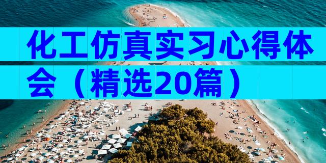 化工仿真实习心得体会（精选20篇）