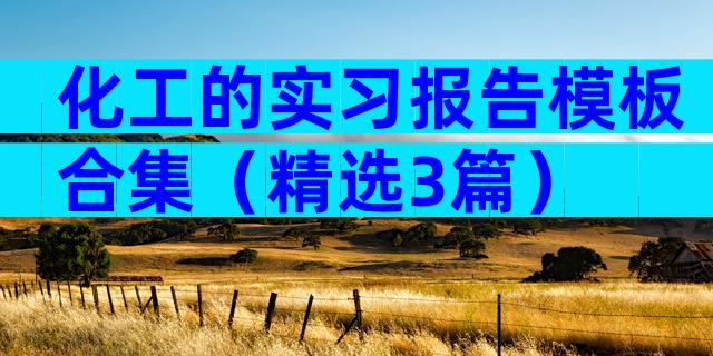 化工的实习报告模板合集（精选3篇）