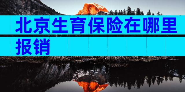 北京生育保险在哪里报销