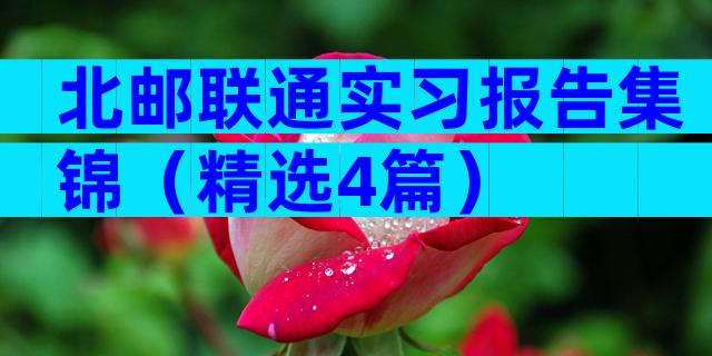 北邮联通实习报告集锦（精选4篇）