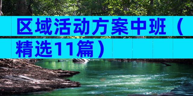区域活动方案中班（精选11篇）