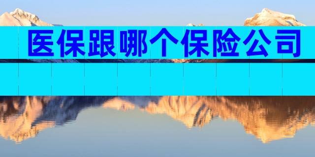 医保跟哪个保险公司