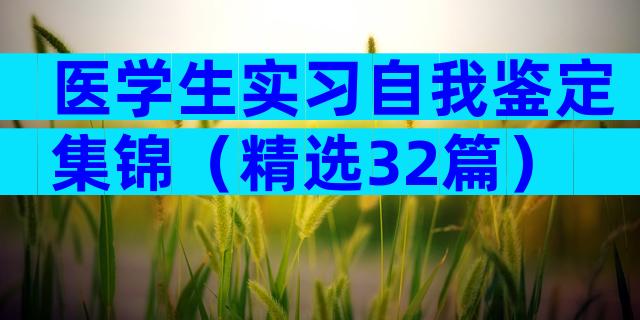 医学生实习自我鉴定集锦（精选32篇）