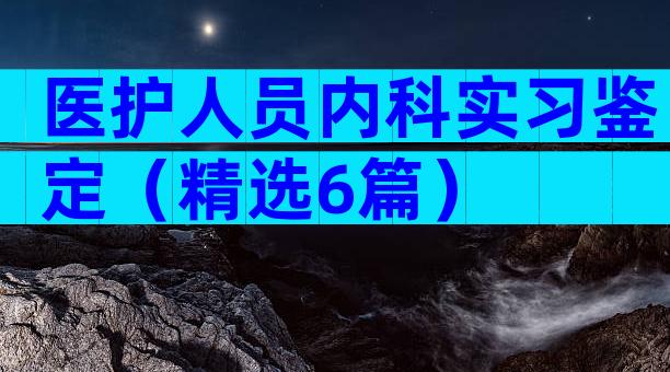 医护人员内科实习鉴定（精选6篇）