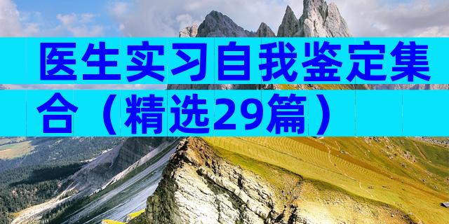 医生实习自我鉴定集合（精选29篇）