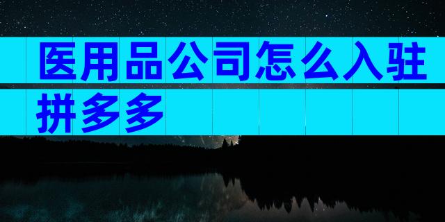 医用品公司怎么入驻拼多多