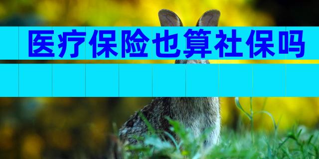 医疗保险也算社保吗