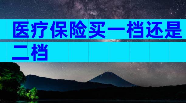 医疗保险买一档还是二档