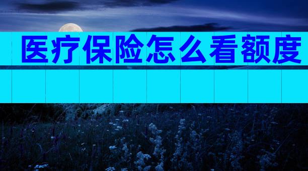 医疗保险怎么看额度