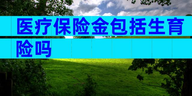 医疗保险金包括生育险吗