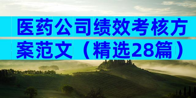 医药公司绩效考核方案范文（精选28篇）