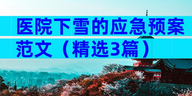 医院下雪的应急预案范文（精选3篇）