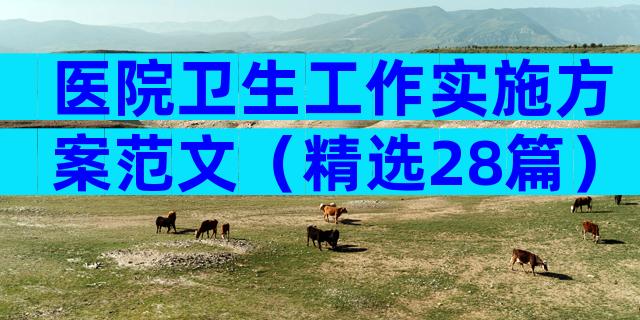 医院卫生工作实施方案范文（精选28篇）