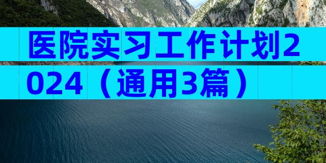 医院实习工作计划2024（通用3篇）