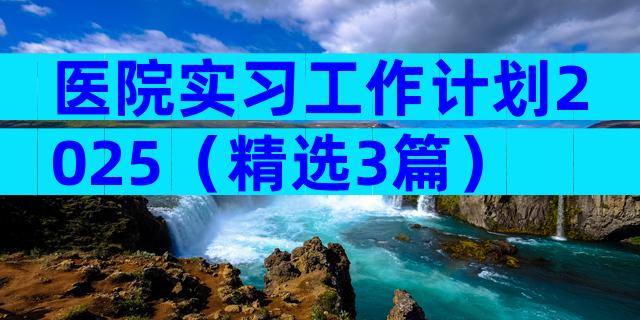 医院实习工作计划2025（精选3篇）
