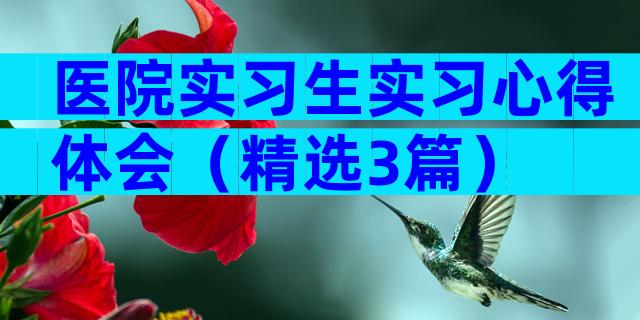 医院实习生实习心得体会（精选3篇）