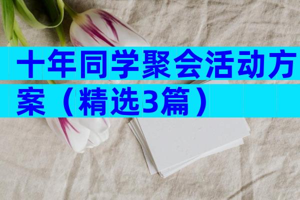十年同学聚会活动方案（精选3篇）