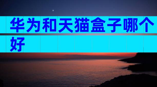 华为和天猫盒子哪个好