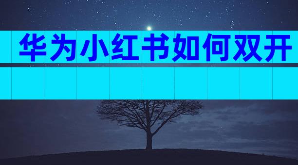 华为小红书如何双开